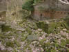 Another mill ruin near feniscowles old hall